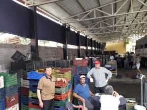 Şaphane’de Hedef 15 Bin Ton Vişne