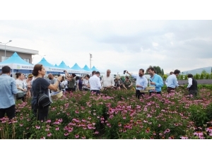 Balıkesir Aromatik Bitki Üretim Ve Eğitim Merkezi Oldu