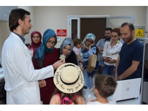 Düzce Üniversitesi Açık Kampüs Uygulaması İle Düzcelileri Ağırlamaya Devam Ediyor