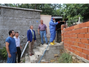 Burhaniye’de Hayvan Barınakları İlaçlanıyor