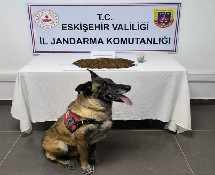 jandarma-ekiplerinden-uyusturucu-operasyonu-361-gram-bonzai-ele-gecirildi