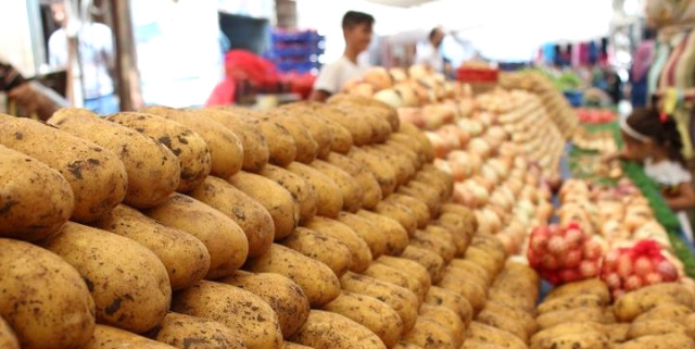Nevşehir Ve Niğde Bölgesindeki Patates Hasadı Fiyatları Düşürecek