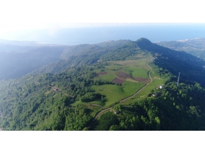 Düz Yer Olmayınca Organize Sanayi Bölgesi Dağın Tepesinde Kurulacak