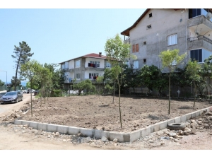 Fatsa Belediyesinden Yeşillendirme Çalışmaları