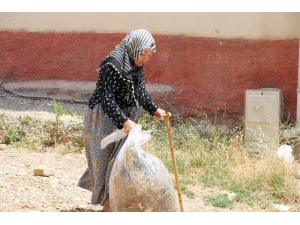 Nazmiye Nineden "Çevre Temizliğinde" Örnek Davranış