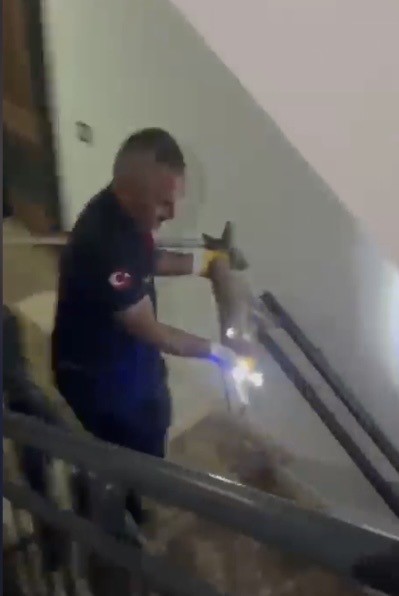 osmaniye-de-apartmanin-3-uncu-katina-cikan-tilki-dogaya-birakildi
