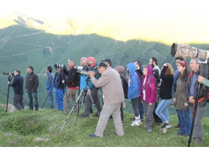 14. Dağ Horozu Şenliği Horozsuz Yapıldı