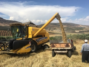 Kilis’te Hububat Hasadı Sona Erdi