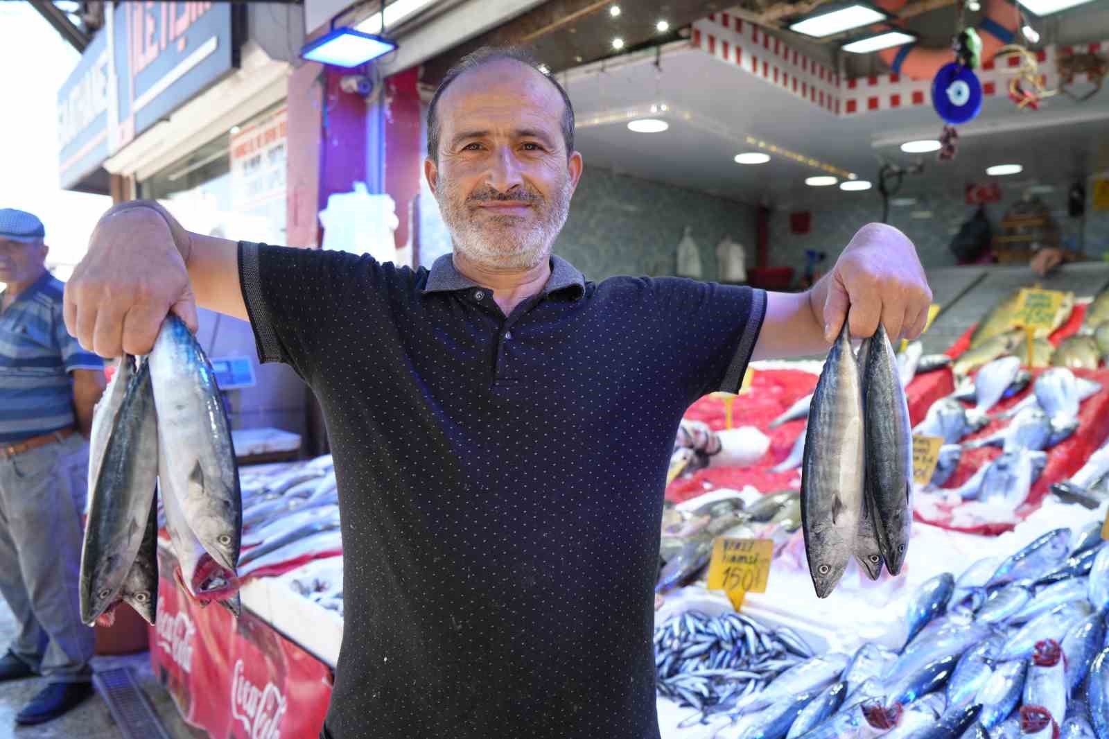 yillardir-boylesi-gorulmedi-karadeniz-den-palamut-fiskiriyor