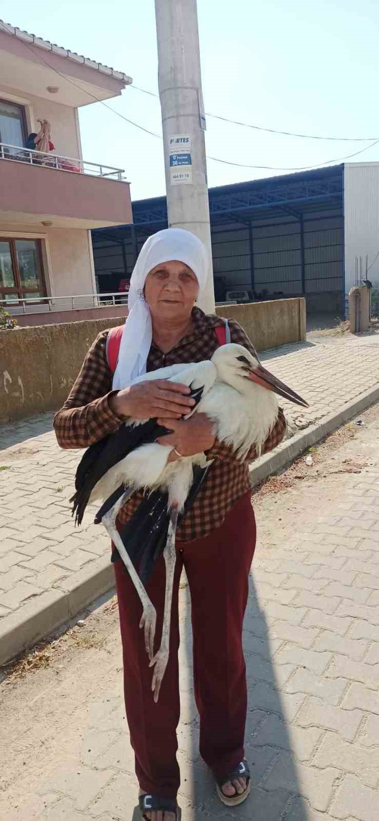 yerde-bitkin-halde-buldugu-yarali-leylege-sahip-cikti