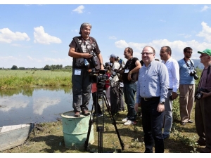 Frig Vadisi Festivalle Tanıtılıyor