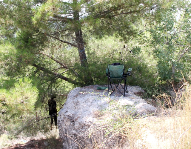 Kayıp Üniversiteli Yusuf Özcan'ın Cesedi Ağaca Asıl Halde Bulundu
