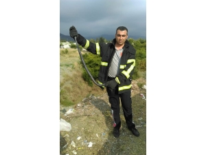 Eve Giren Yılanı İtfaiye Ekipleri Yakaladı