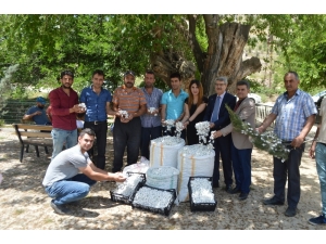 İpekböceği Kadınların Yüzünü Güldürdü