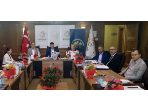 Sağlıklı Kentler Birliği Encümeni Toplandı