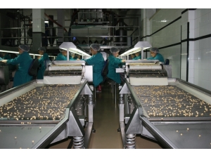 Fındıktan 10 Ayda 1,6 Milyar Dolarlık Gelir