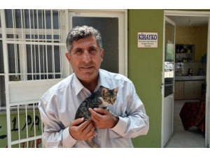 Kihayko Başkanı Metin: "Hayvanları Koruma Kanunu Değiştirilmeli"