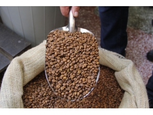 Kahve Kokan Sokak Geçenleri Mest Ediyor