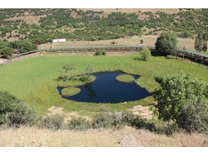 Doğa Harikası ’Yüzenadalar’a Büyük İlgi Görüyor