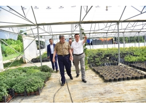 Başkan Can, Belediye Ait Serayı Gezdi