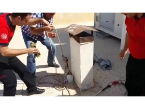 Yavru Kedinin İmdadına İtfaiye Yetişti