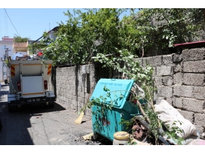 Evden 3 Kamyon Çöp Çıktı