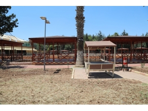 Söğütlüdere Mesire Alanı Hizmete Açıldı