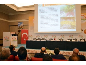 Dr. Pakdil: "Karantina Konusu, Sınırda Nöbet Tutan Askerden Farklı Düşünülmemeli"