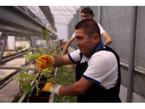 Özel Öğrenciler, Meyve Ve Sebze Yetiştiriyor