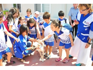 Balçovalı Çocuklar Bu Okulu Çok Seviyor