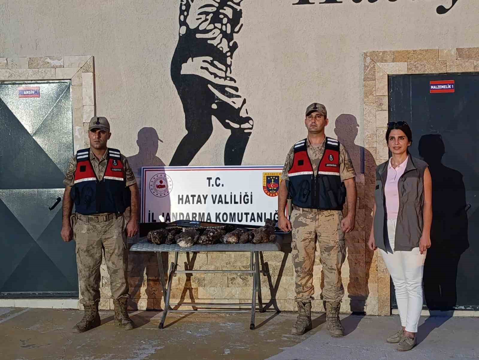hatay-da-7-ari-sahini-avlayan-sahsa-ceza-yagdi