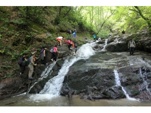 Sıcaktan Bunaldıysanız Yürüyüş Yapın
