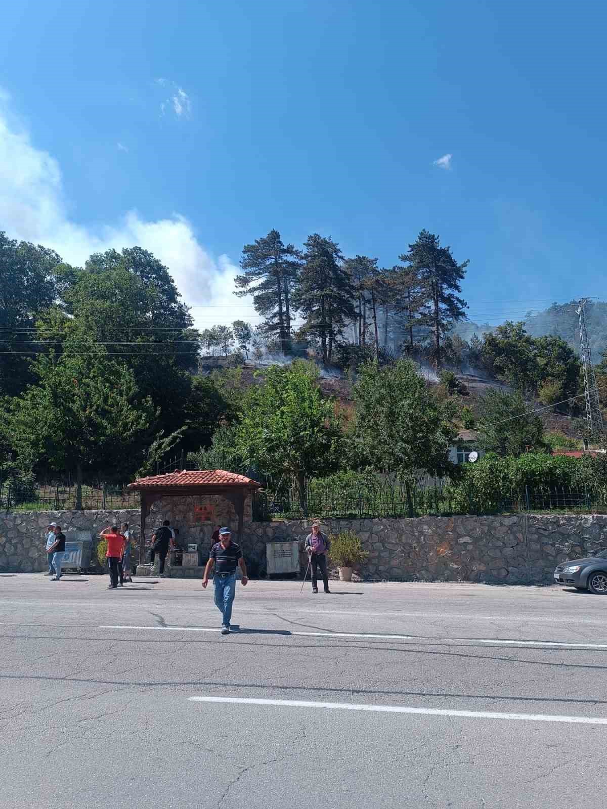 sinop-taki-orman-yanginiyla-ilgili-1-kisi-gozaltinda