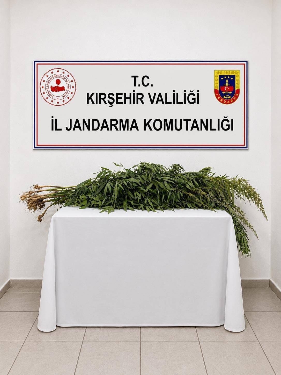 ikametlerde-yapilan-aramalarda-30-kok-uyusturucu-ele-gecirildi