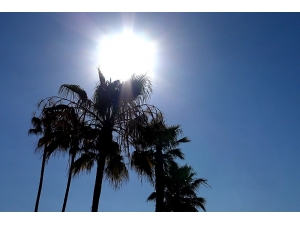 Güney Kaliforniya Sıcaktan Kavruluyor