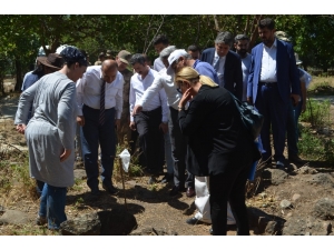 Hatay’da Kayı Boyu Tamgalı Mezarlar Bulundu