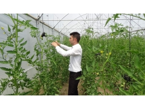 Genç Çiftçi Desteği Hayatını Değiştirdi