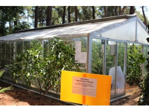 Akıllı Sera İle 8 Katlık Su Tasarrufu