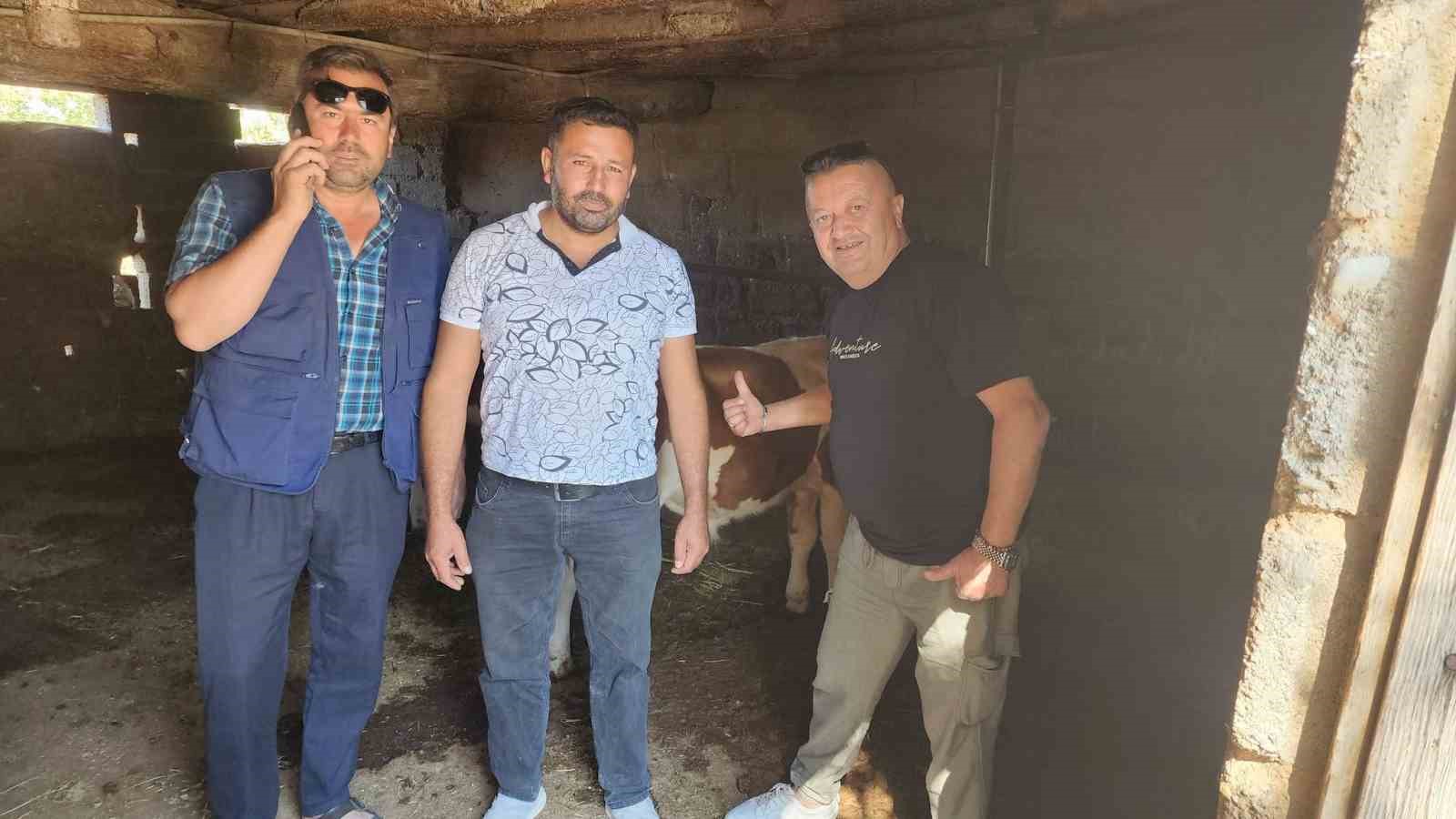 civril-de-kaybolan-iki-buzagi-mahalle-halkini-seferber-etti
