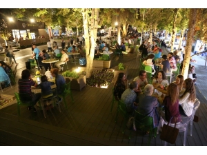 Gece-gündüz Yaşayan Bir Hamamyolu