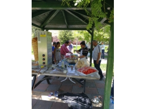 Sime-sen Piknikte Buluştu