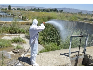 Kent Merkezi Ve Kırsal İlaçlanıyor