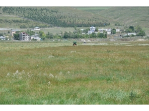 Kars’ta Çiftçilerin Ot Biçme Mesaisi Başladı
