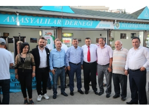 Amasyalılar Darıca’da Gönüllerince Eğlendi