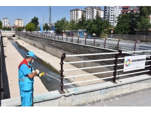Kocasinan’da Kanallar Temizlenip, İlaçlanıyor