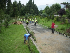 Kartepe’de Mezarlıklarda Çevre Düzenlemesi Yapıldı