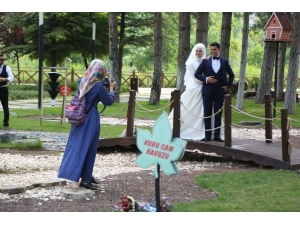 Odunpazarı’nda Doğal Bir Fotoğraf Stüdyosu: Botanik Park