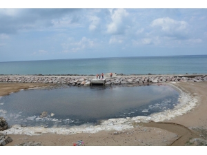 Koku Gelen Kumkapı Sahili Temizlenmeye Başladı