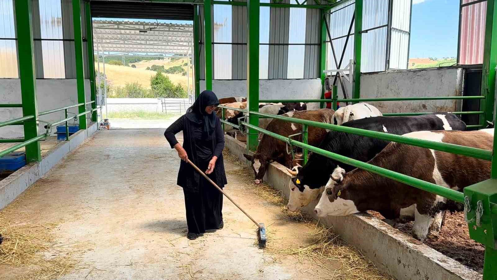 gediz-de-12-milyon-tl-lik-buyukbas-besi-isletmesi-faaliyete-gecti