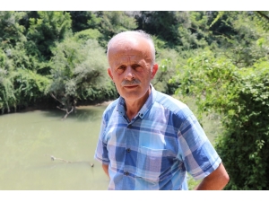 Osb’nin Atık Suları Sakarya Nehri’ni Kirletmeye Devam Ediyor